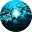 files/dfshdf.png